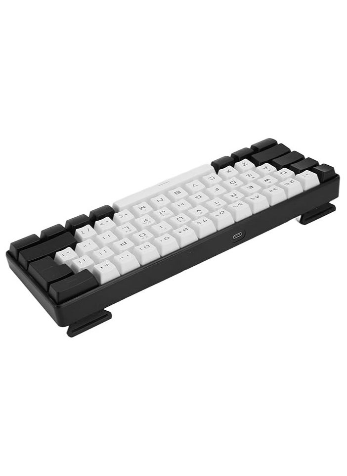 60% Mini RGB Keyboard, 61 Keys LED Backlight Ergonomic Mechanical Feeling Wired Gaming Keyboard for Office Business Gaming (White)