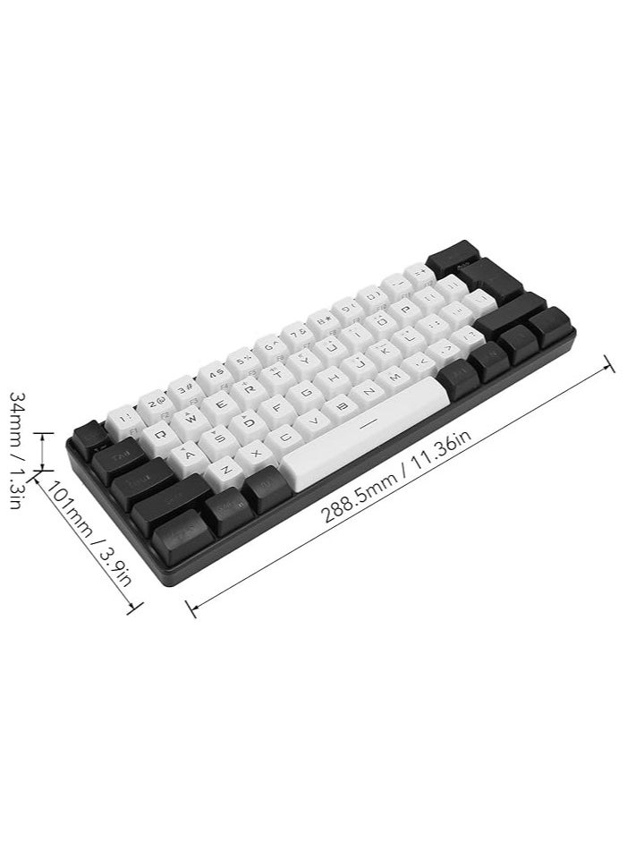 60% Mini RGB Keyboard, 61 Keys LED Backlight Ergonomic Mechanical Feeling Wired Gaming Keyboard for Office Business Gaming (White)