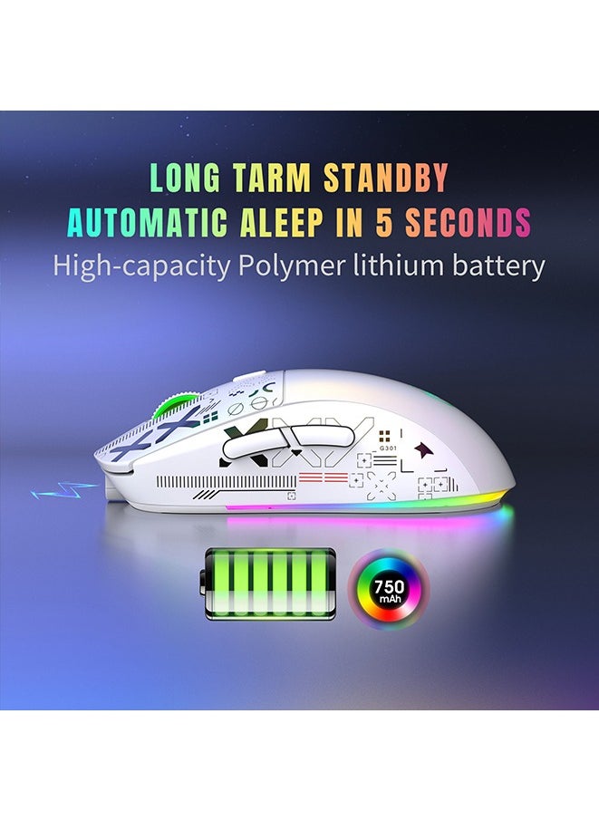 Wireless Mouse 2.4G Water Transfer Printing Wireless Game Mouse RGB Light-emitting TYPE-C Charging Three Connection Modes Five-speed DPI adjustment design,Max 3600dpi.for PC Laptop Computer