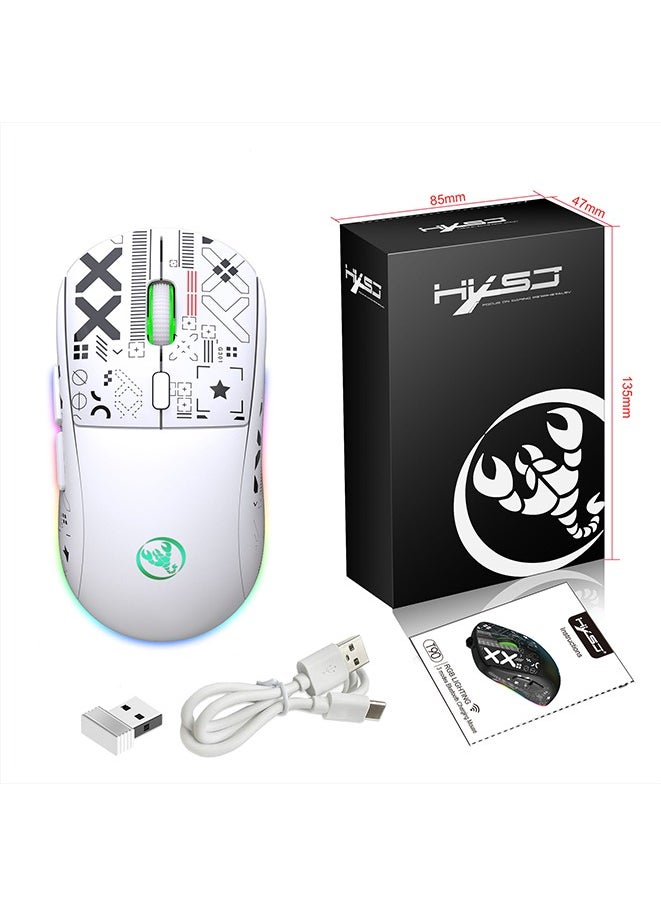 Wireless Mouse 2.4G Water Transfer Printing Wireless Game Mouse RGB Light-emitting TYPE-C Charging Three Connection Modes Five-speed DPI adjustment design,Max 3600dpi.for PC Laptop Computer