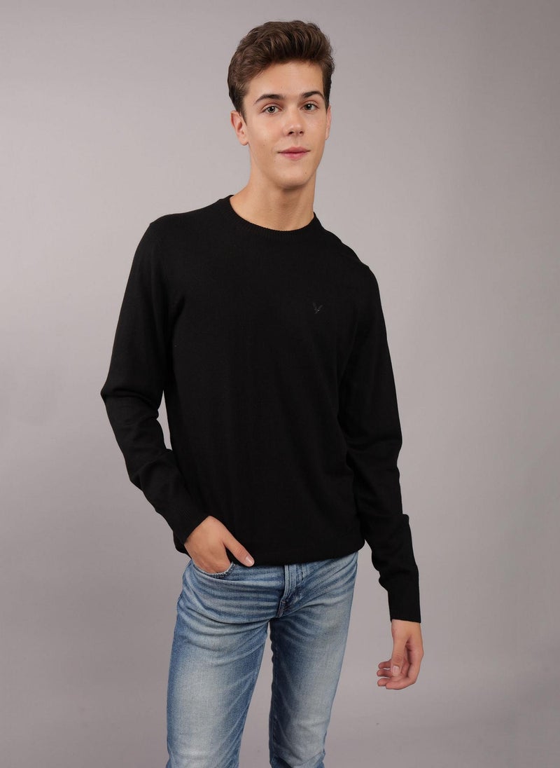 AE Crew Neck Sweater