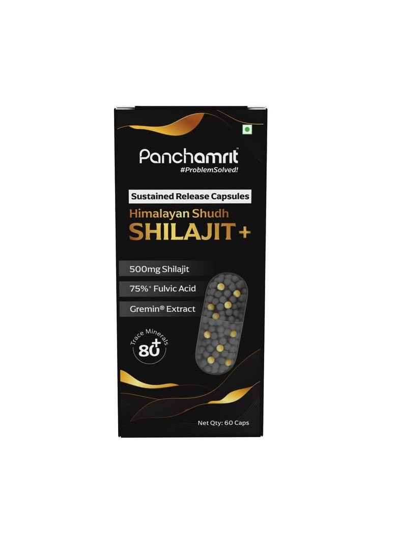 8 hrs Sustained Release Capsule 500mg Himalayan Shilajit+ With Gremin Extract,75% Fulvic Acid,80+ Trace Minerals 60 caps