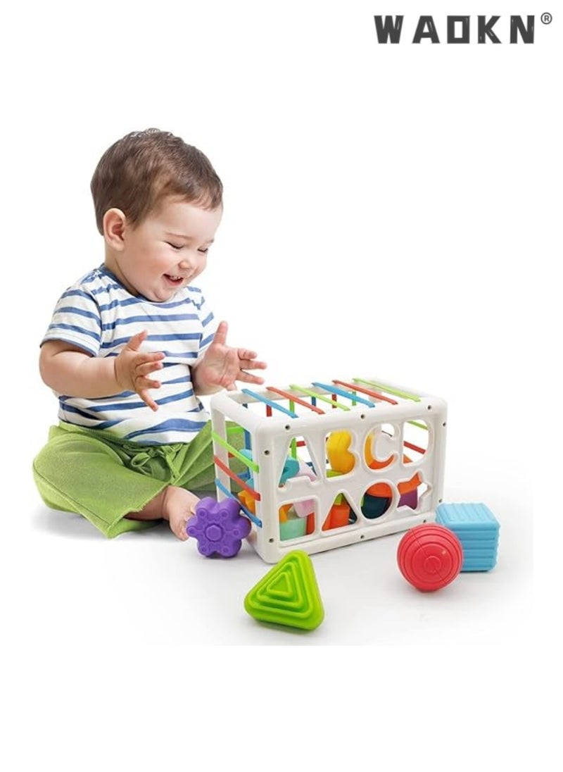 Baby Shape Sorter Toys for 6 Months Plus, 1st Birthday Gifts for Baby Boys Girls, Baby Sensory Toys for 12 Months, Montessori Toddler Toys for Baby age 1-2