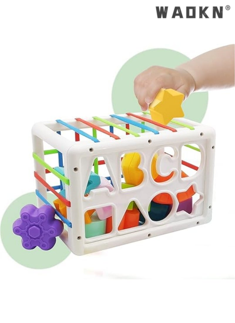 Baby Shape Sorter Toys for 6 Months Plus, 1st Birthday Gifts for Baby Boys Girls, Baby Sensory Toys for 12 Months, Montessori Toddler Toys for Baby age 1-2
