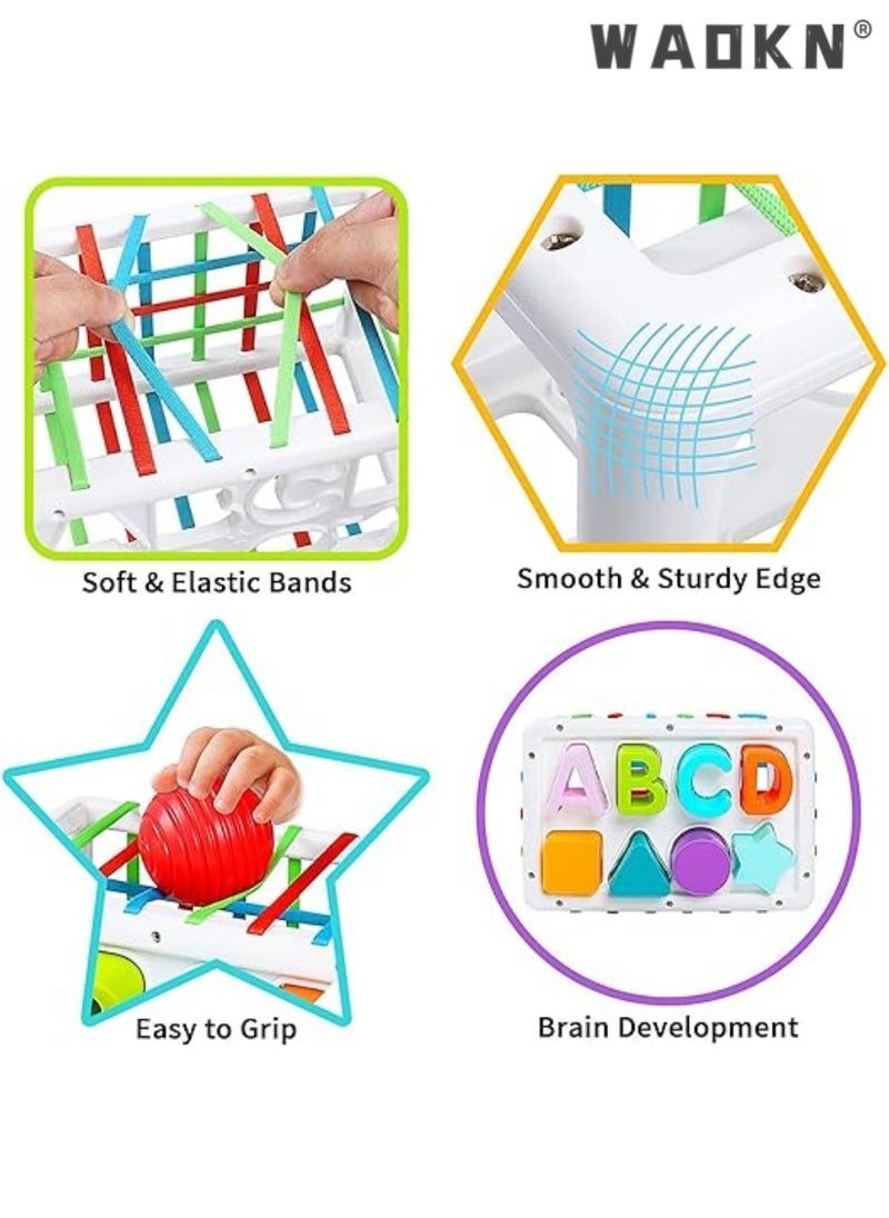 Baby Shape Sorter Toys for 6 Months Plus, 1st Birthday Gifts for Baby Boys Girls, Baby Sensory Toys for 12 Months, Montessori Toddler Toys for Baby age 1-2