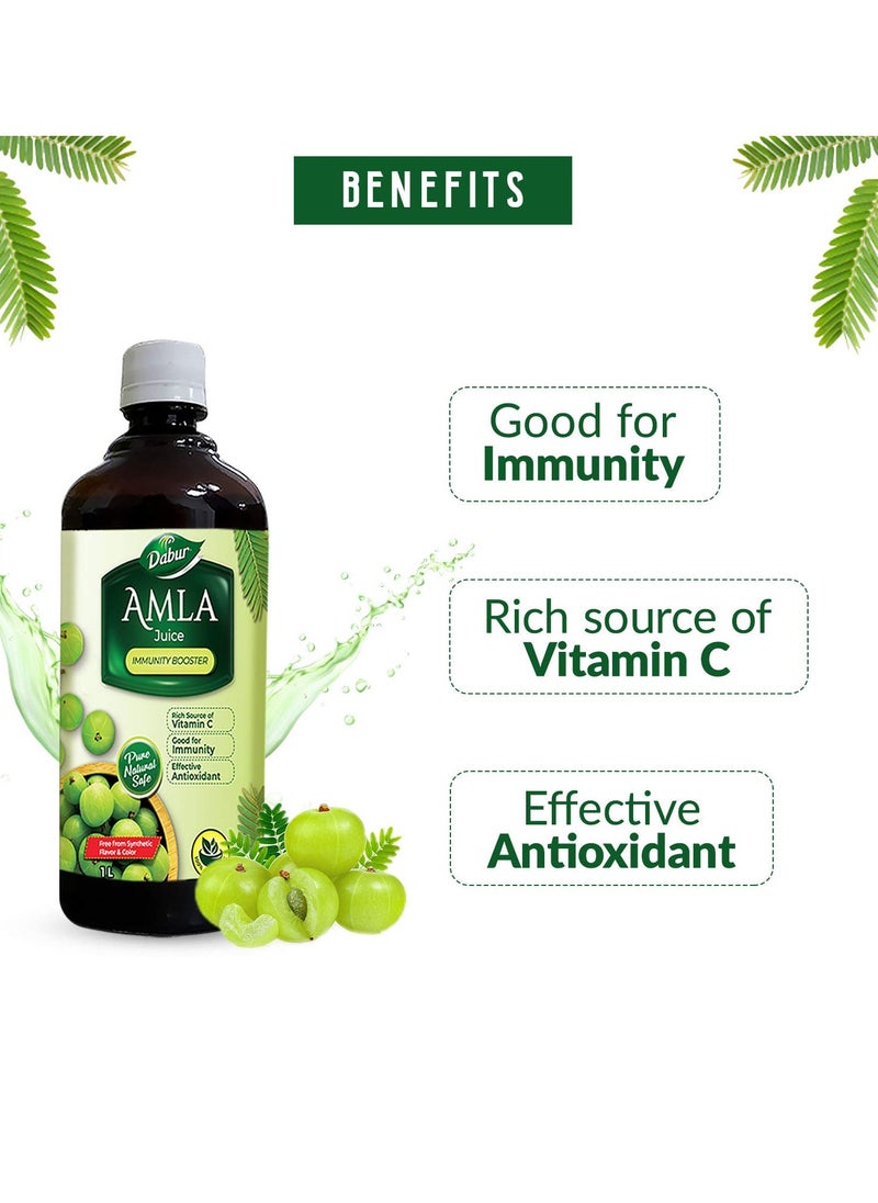 Dabur Amla Juice -1L | Rich Source of Vitamin C | Effective Antioxidants for Immunity boosting | Pure, Natural and 100% Ayurvedic Juice