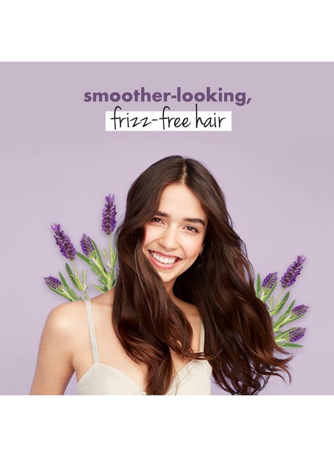 Argan & Lavender Anti Frizz Combo With Sulfate Free Shampoo & Conditioner