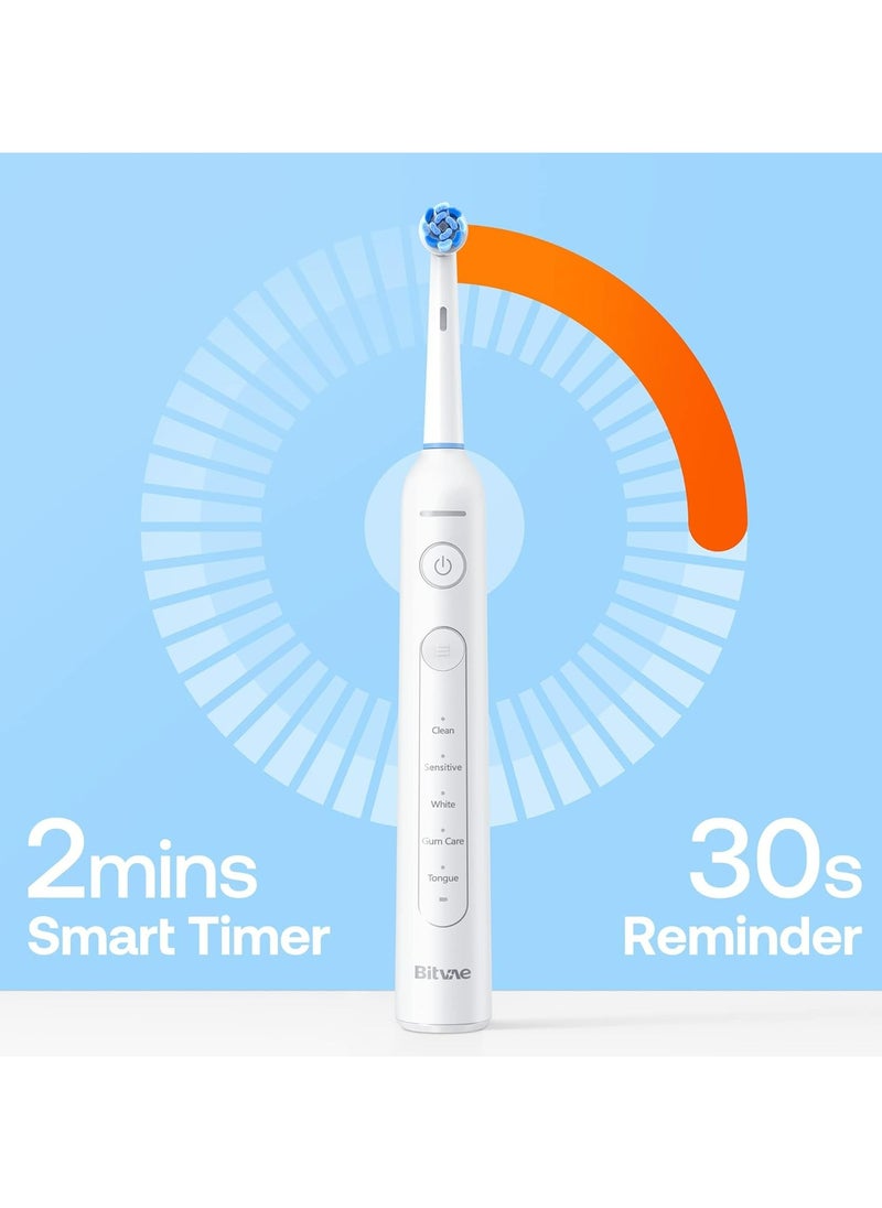 Bitvae R2 Rotating Electric Toothbrush for Adults with 8 Brush Heads (White)