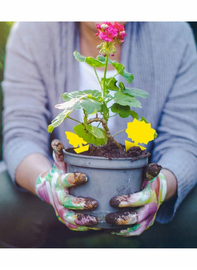 Sticky Fruit Fly Trap and Fungus Gnat Traps Killer