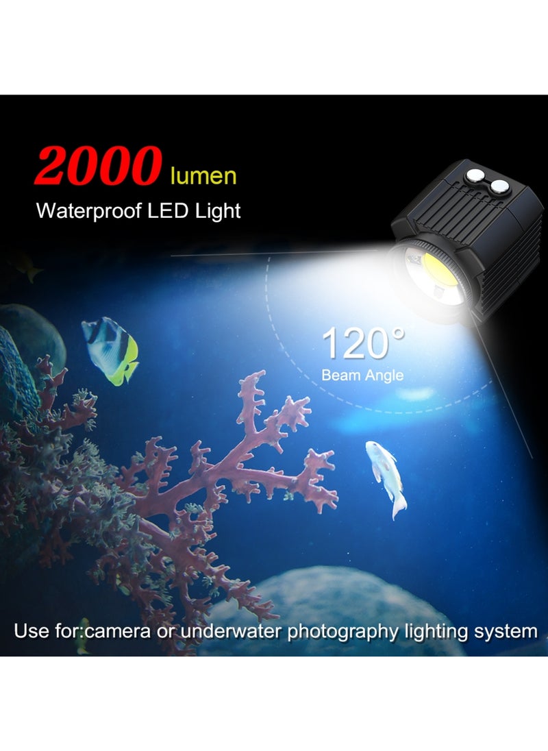 PULUZ 60m Underwater LED Photography Fill Light 7.4V/1100mAh Diving Light for GoPro Hero11 Black / HERO10 Black / HERO9 Black /HERO8 / HERO7 /6 /5 /5 Session /4 Session /4 /3+ /3 /2 /1, Insta360 ONE R, DJI Osmo Action and Other Action Cameras