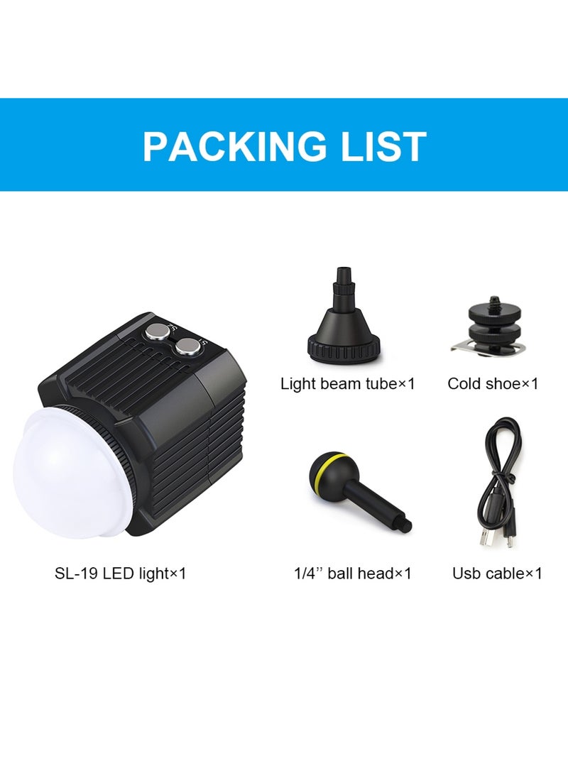 PULUZ 60m Underwater LED Photography Fill Light 7.4V/1100mAh Diving Light for GoPro Hero11 Black / HERO10 Black / HERO9 Black /HERO8 / HERO7 /6 /5 /5 Session /4 Session /4 /3+ /3 /2 /1, Insta360 ONE R, DJI Osmo Action and Other Action Cameras