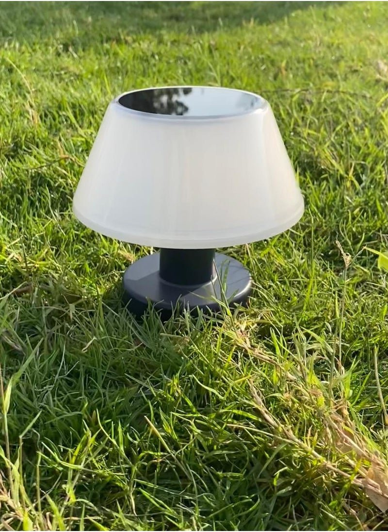 Solar Mushroom Lamp