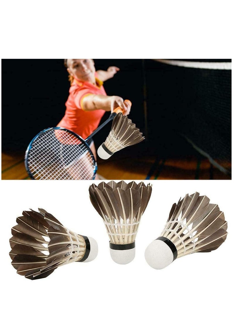 Badminton Ball, Black Goose Feather Badminton Sport Shuttlecock Durable Training Ball New, 12 Pcs