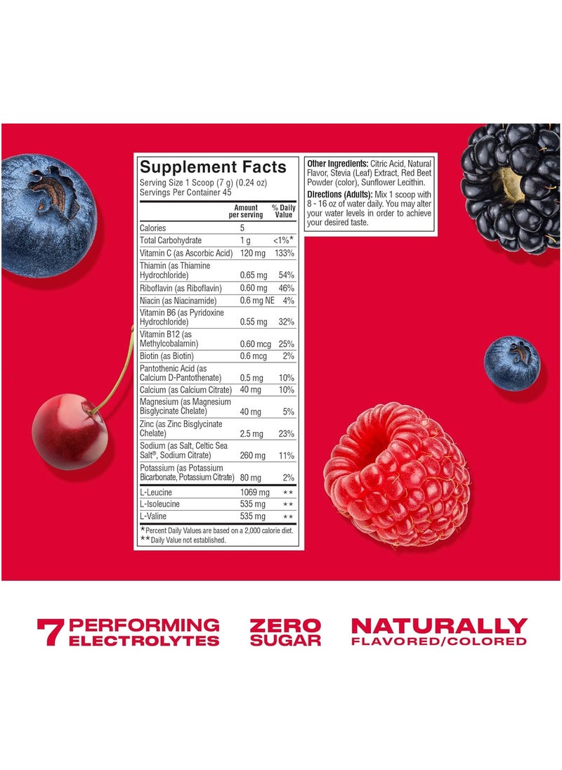 Electrolyte Mix + Bcaa - Berry Crush 10 Count Nsf Certified No Added Sugar No Artificial Sweeteners Premium Electrolytes 10 X 7 G Stick Box