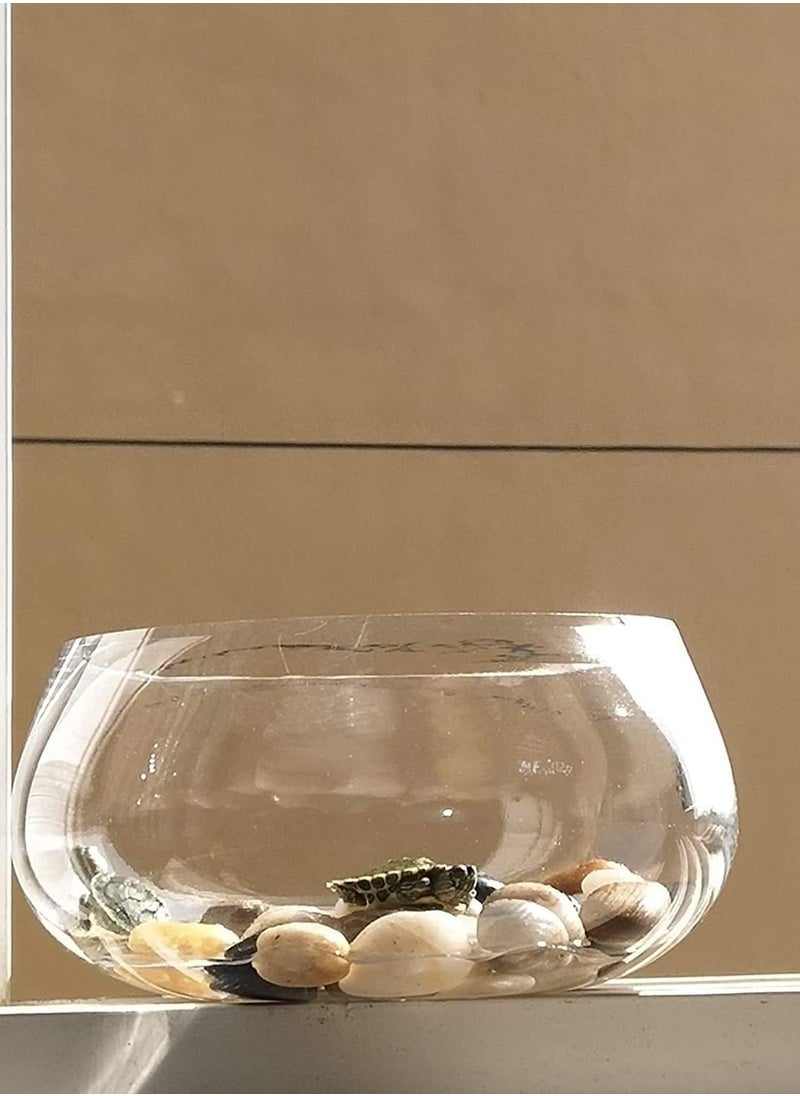 Decorative Polished Pebbles and Natural Small Mixed Stones Gravel for Flowerpots, Aquariums, Landscaping, and Ponds - DIY Home Garden Vase Fillers (Approx. 0.5-1.2 inch, 10kg)