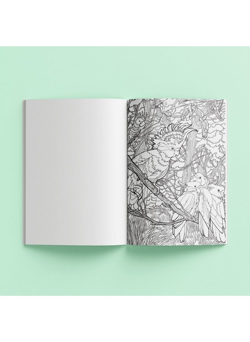 Hinkler Art Maker Ultimate Colouring Carry Case include 20-Coloured Artists Pencil, 10 Coloured Markers, Over 90 IMages, Amazing Animals Edition, a Complete Colouring Set for Kids