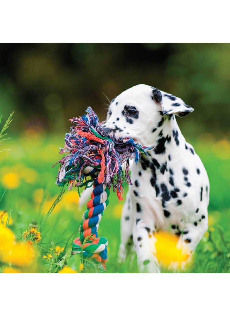 Hinkler Dog Tricks & Training Kit include 64-page Book, Rope Toy, Training Clicker, Activation Card for Online Video Access, Interactive Dog Training Set, Ideal for Dog Owners and Beginners
