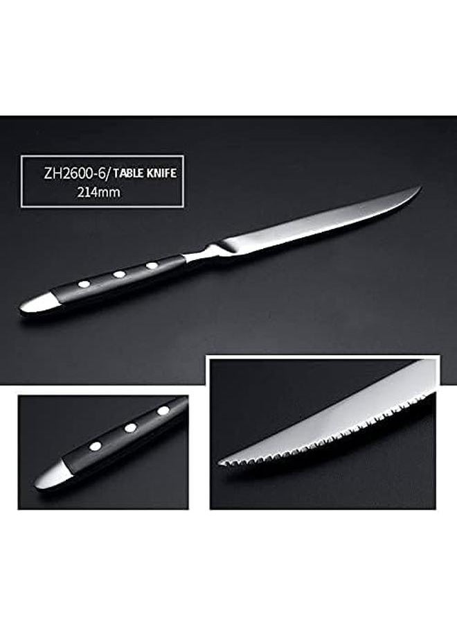 stainless steel forged flatware Stainless Steel Cutlery Set with bakelite handle 20 Piece spoon fork knife tableware set