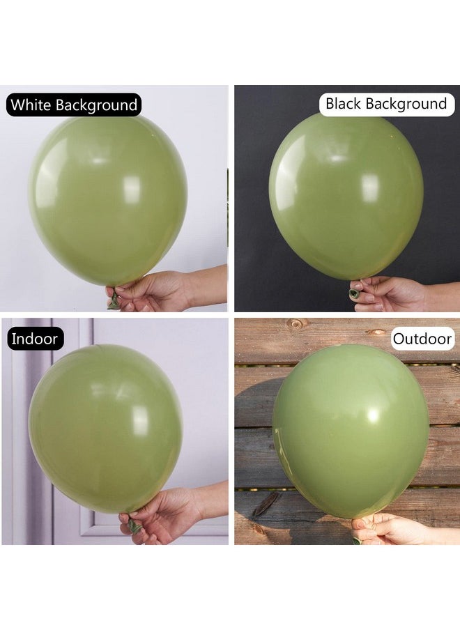 PartyWoo Sage Green Balloons, 140 pcs Boho Green Balloons Different Sizes Pack of 18 Inch 12 Inch 10 Inch 5 Inch Matte Green Balloons for Balloon Garland Balloon Arch as Party Decorations, Green-F11