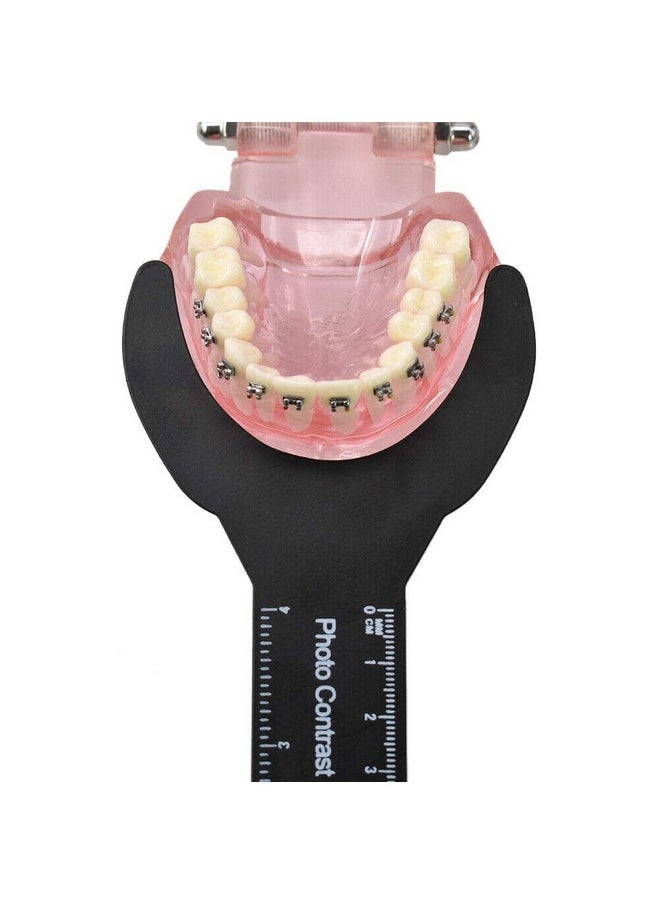 6 Sizes Dental Oral Image Contraster Palatal Photographic Black Background Board