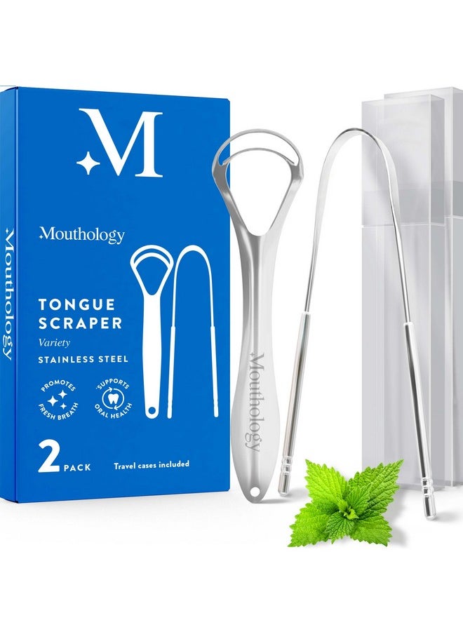 BASIC CONCEPTS Tongue Scraper for Adults (Variety Pack), Reduce Bad Breath, Metal Tongue Scraper, Tongue Cleaner, Tongue Scraper, Stainless Steel Tongue Scraper, Tongue Cleaner for Adults