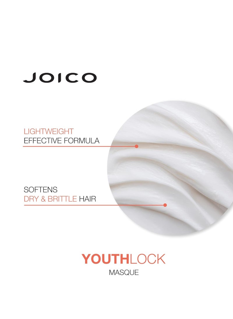 Joico YouthLock Treatment Masque Formulated With Collagen | Nourish & Soften Hair | Strengthen & Protect | Reduce Breakage & Frizz | Soften & Detangle Hair | Boost Shine | Sulfate Free | With Arginine