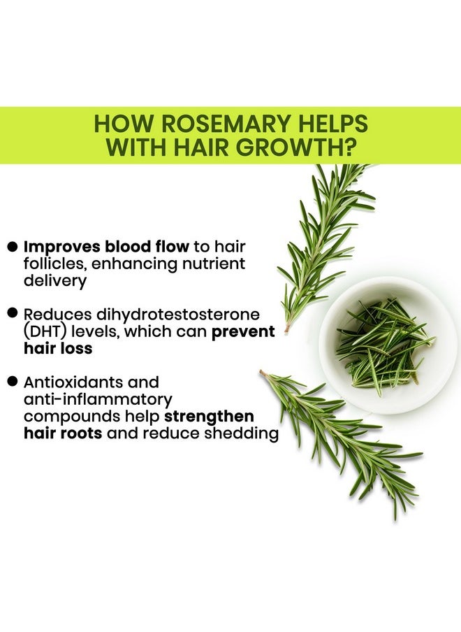 Alps Goodness Rosemary Water Spray For Hair Growth (200 ml) | Hair Spray for Regrowth | Rosemary Hair Mist | Adds Shine | Helps Reduce Hairfall | Strengthens Hair | Suitable For All Hair Types