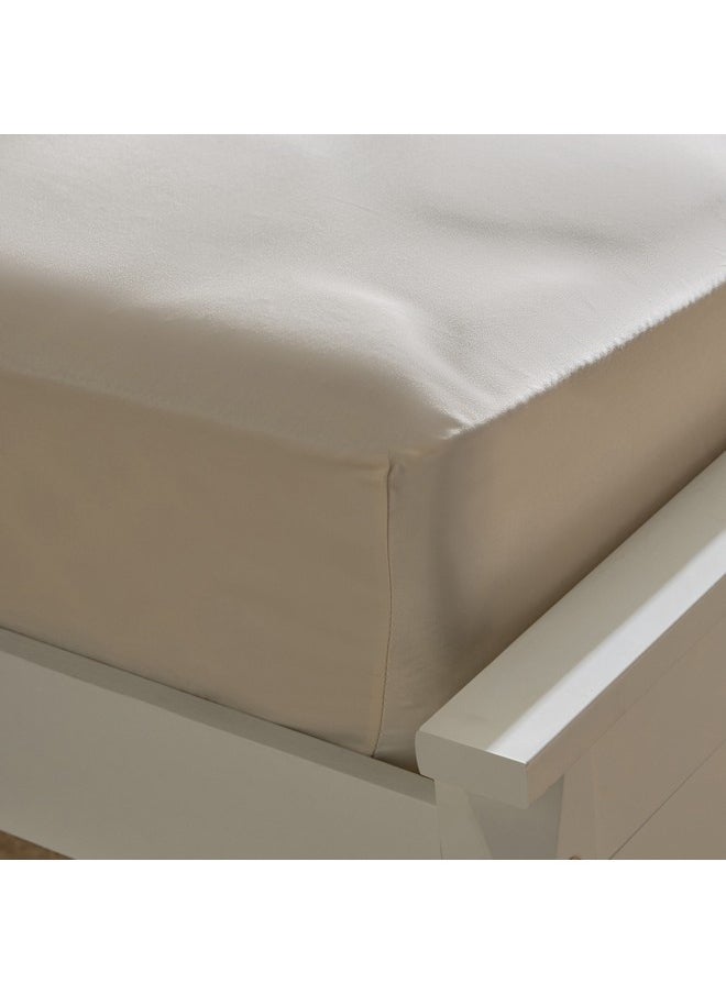 Opulent Luxe Solid Cotton King Fitted Sheet 200 x 40 x 180 cm