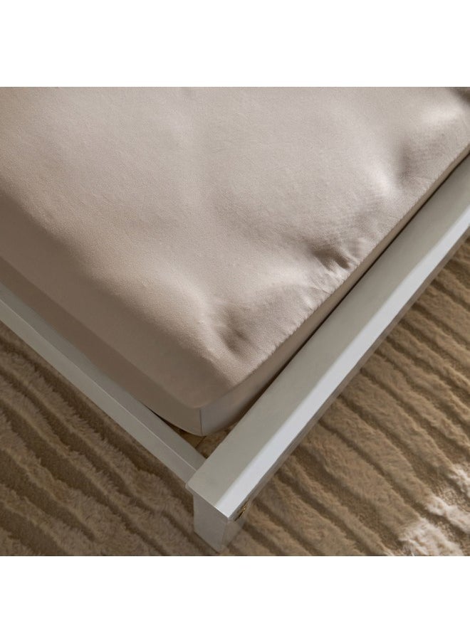 Opulent Luxe Solid Cotton Olympic Queen Fitted Sheet 160 x 200 x 40 cm