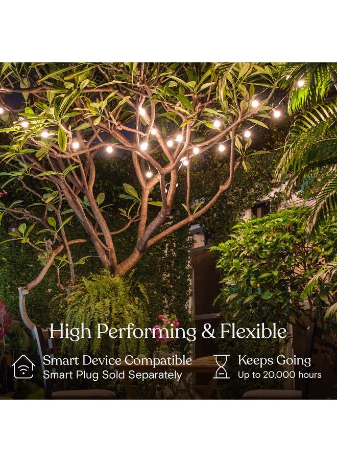 Brightech Ambience Pro LED String Lights - 26 Ft Patio Lights Outdoor Waterproof - Globe Porch String Lights for Outside, Christmas, Backyard - 12 Bulbs, 1W Vintage Edison, Warm White Black