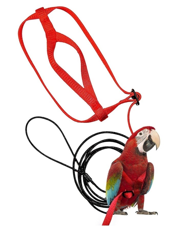 Bird Harness Anti Bite Bird Aviator Training Rope and Leash for Cocktiel Macaw all Birds Training Outdoor