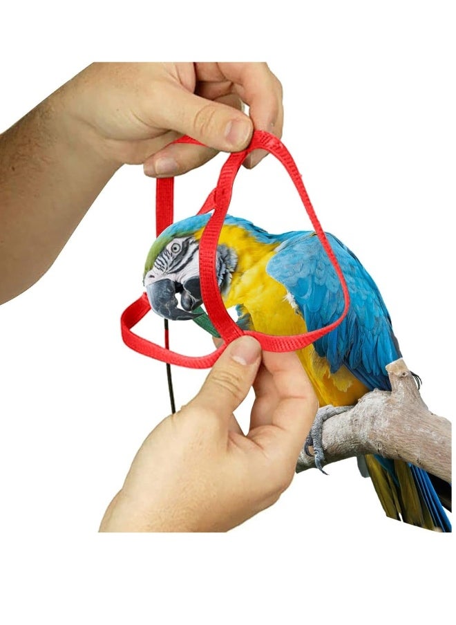 Bird Harness Anti Bite Bird Aviator Training Rope and Leash for Cocktiel Macaw all Birds Training Outdoor