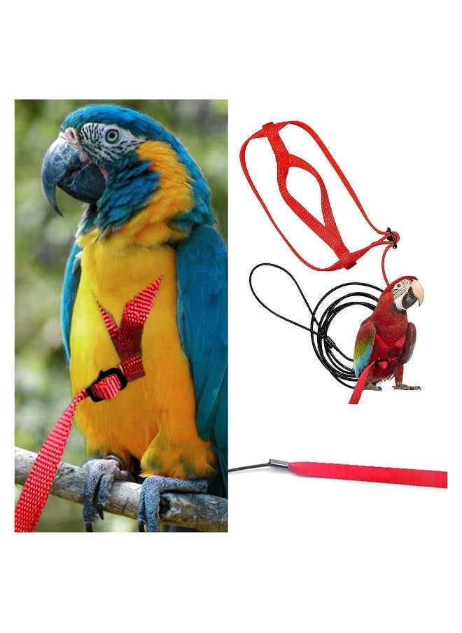 Bird Harness Anti Bite Bird Aviator Training Rope and Leash for Cocktiel Macaw all Birds Training Outdoor