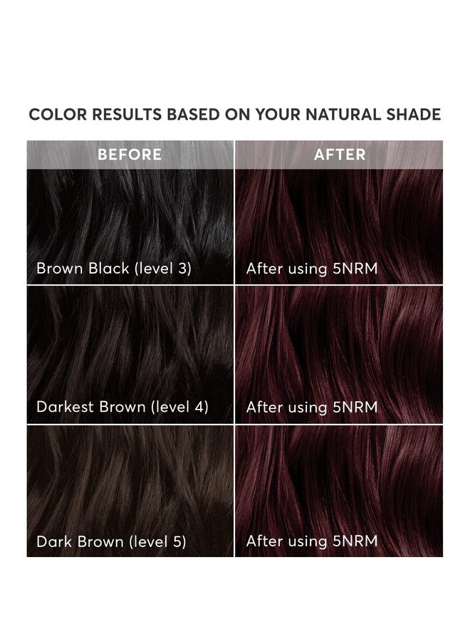 Madison Reed Radiant Hair Color Kit, Permanent Hair Dye, 100% Gray Coverage, Ammonia-Free, Trieste Red 5NRM Dark Mahogany red, Pack of 1