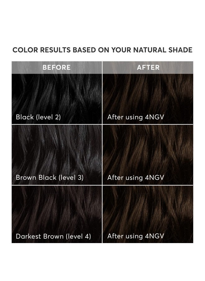 Madison Reed Radiant Hair Color Kit, Darkest Golden Brown for 100% Gray Coverage, Ammonia-Free, 4NGV Venezia Brown, Permanent Hair Dye, Pack of 1