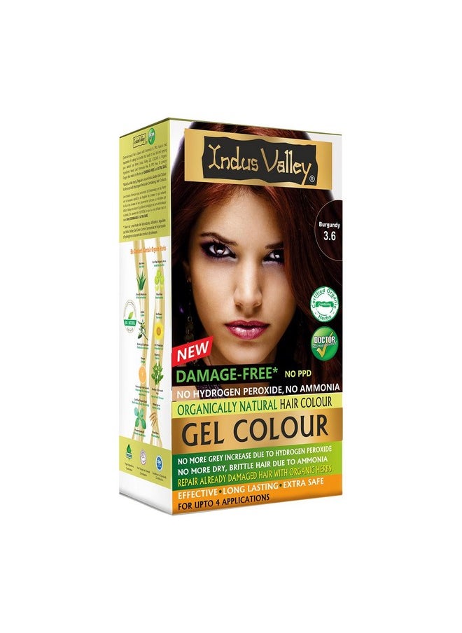 INDUS VALLEY Damage Free Natural Gel Hair Colour for Women | Ammonia & PPD Free Organic Hair Colour with 100% Grey Coverage, Long Lasting Conditioning Hair Color | Burgundy 3.6-220 ml