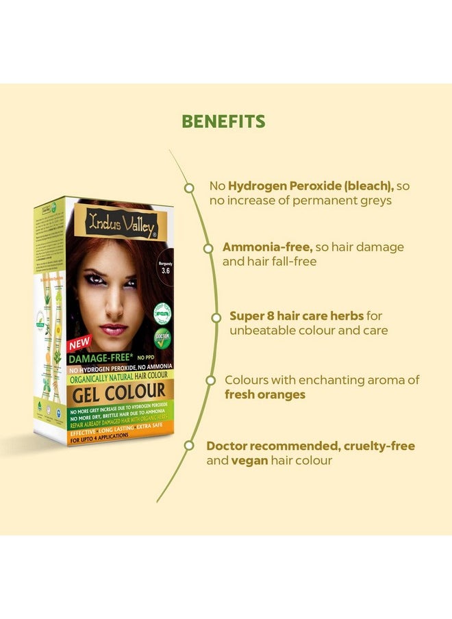 INDUS VALLEY Damage Free Natural Gel Hair Colour for Women | Ammonia & PPD Free Organic Hair Colour with 100% Grey Coverage, Long Lasting Conditioning Hair Color | Burgundy 3.6-220 ml