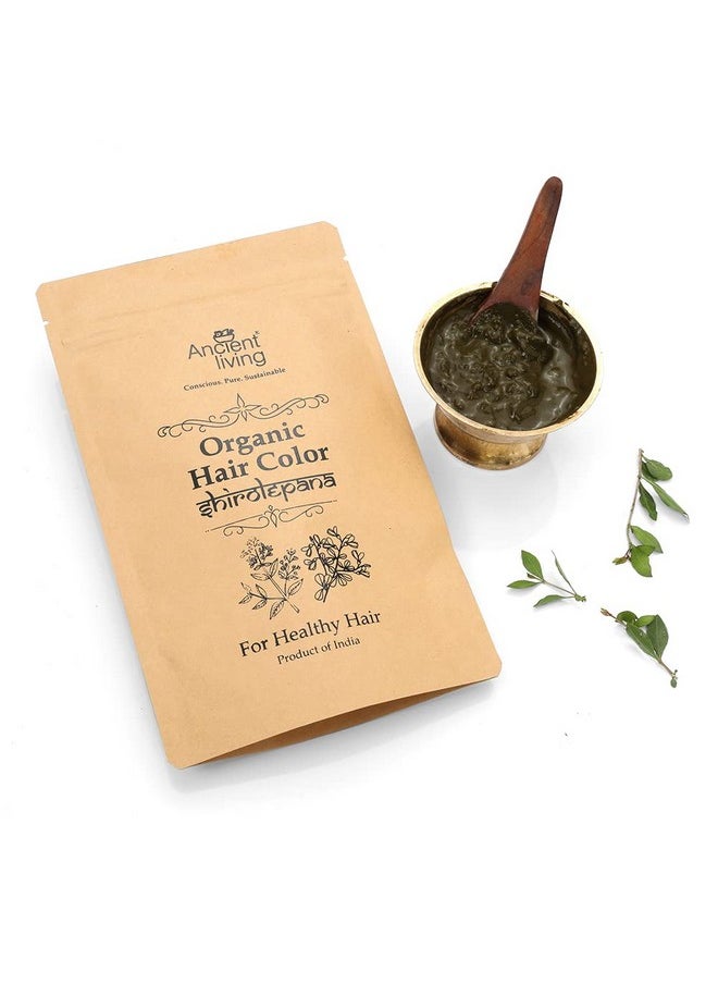 Ancient Living Organic Black Hair Color Pure Henna and Indigo Leaf Powder 100 gm