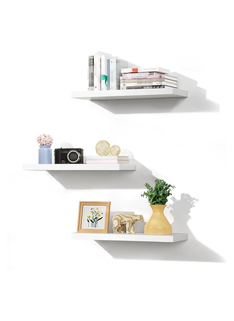 Deep Modern Solid Wood Wall Shelves for Storage, Wall Mounted Display Shelving