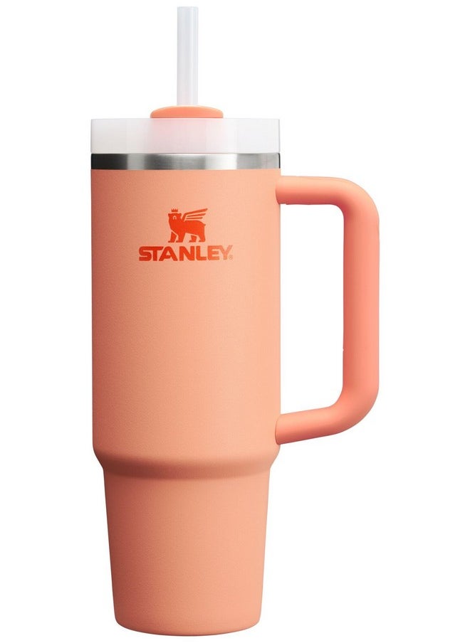 Stanley Quencher H2.0 Tumbler with Handle & Straw 30 oz | Twist On 3-Way Lid | Cupholder Compatible for Travel | Insulated Stainless Steel Cup | BPA-Free | Nectarine