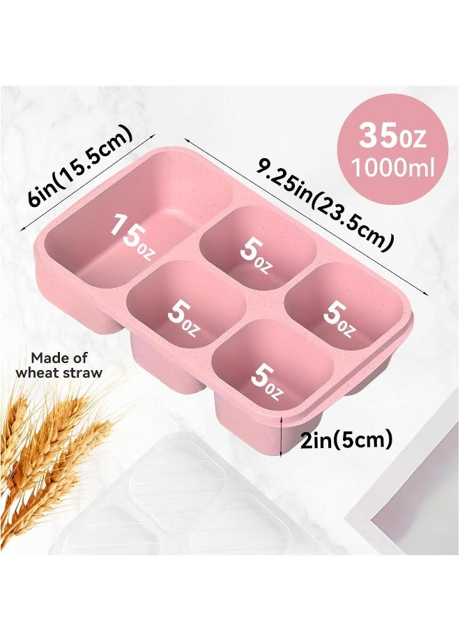 4 Pcs Bento Box, 5 Compartment Bento Box with Transparent Lid for Food Storage and Snack Contain, Reusable Bento Lunch Box for School, Work, Travel, and On-the-Go Meals