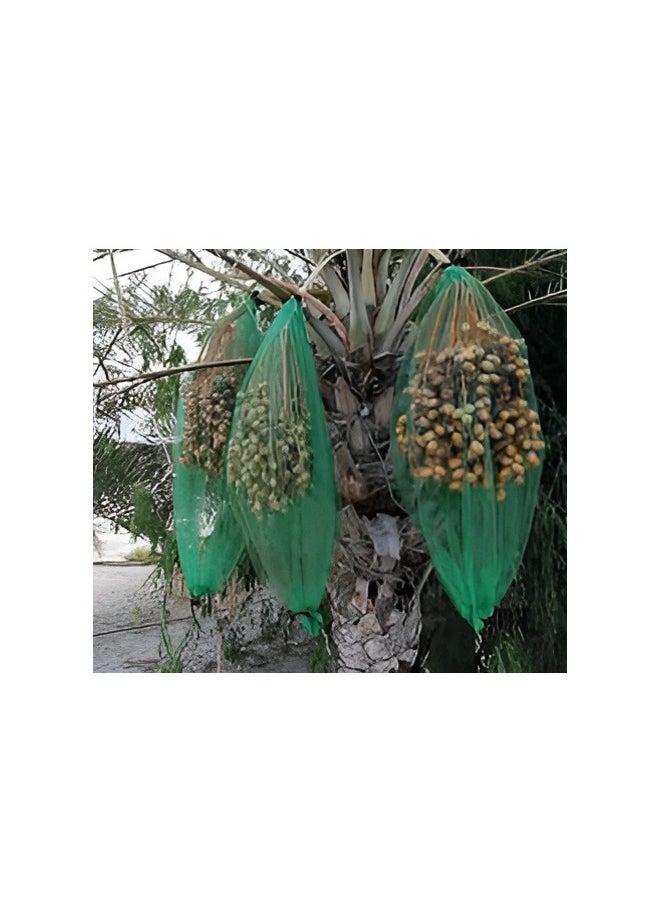 Dates Cover Net Dates Bag 90 x 70 cm (100)