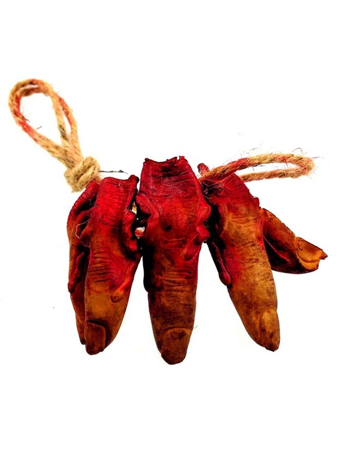 Bloody Severed Fingers Scary Fake Fingers Halloween Broken Body Parts Party Hanging Ornament Horror Prank Props,Haunted House Decoration Supplies, 5 Fingers