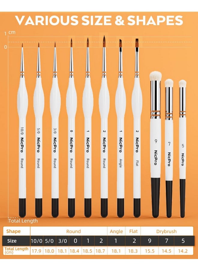 Nicpro Miniature Painting Kit with Wet Palette & 11PCS Detail Paint Brushes Drybrush, 100PCS Wet Pallet Paper, 4PCS Sponge, Brush Holder Mixing Paint Saver Palette for Warhammer 40K Model Painting