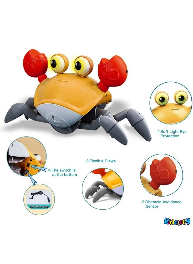 Magicwand Musical,Crawling Tummy Time Crab for Toddlers & Kids with Music 【Pack of 1】【Colors As Per Stock】