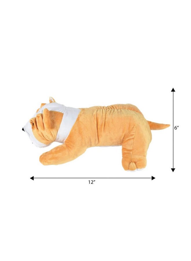 ERRECOM Ultra 16 Inch Bull Dog Fully Stuffed Soft Plush Toy for Kids in Beige| Animal Toy Birthday | Anniversary | Christmas | Diwali | Home Decor