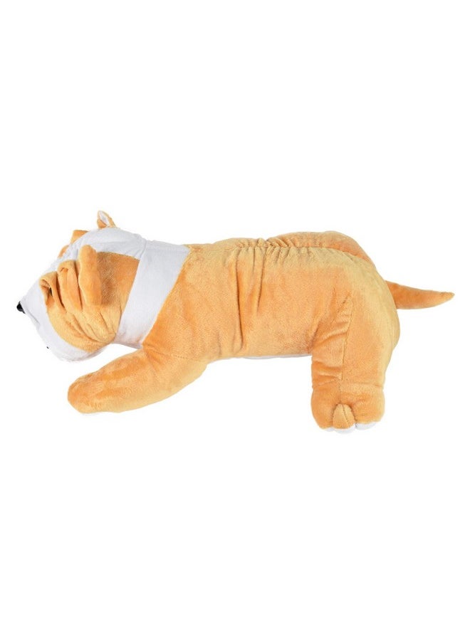 ERRECOM Ultra 16 Inch Bull Dog Fully Stuffed Soft Plush Toy for Kids in Beige| Animal Toy Birthday | Anniversary | Christmas | Diwali | Home Decor