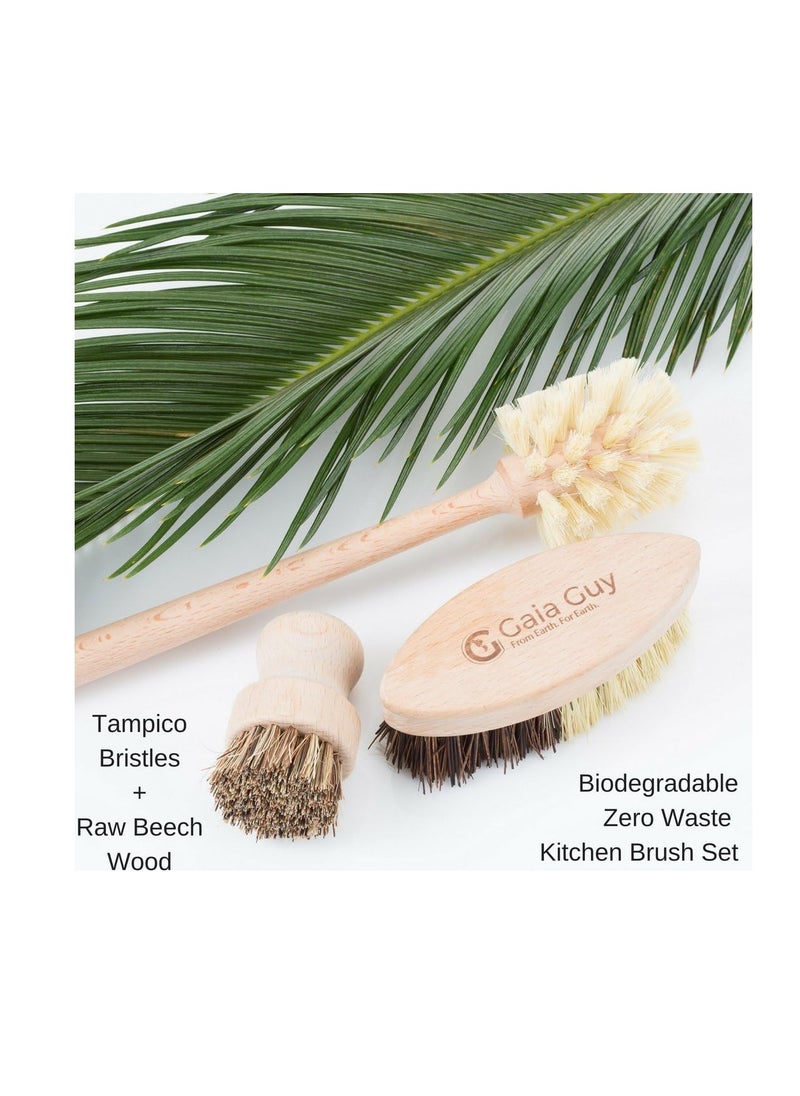 Wood and Tampico Bottle Brush - Pot Brush - Vegetable Brush Set - Zero Waste, Compostable & Biodegradable Kitchen Brushes