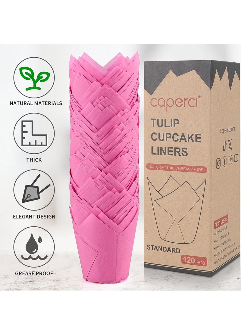 Caperci Standard Tulip Cupcake Liners for Baking 120 Counts - Greaseproof Muffin Baking Cups for Wedding Birthday Party Baby Shower Festivals Christmas (Pink)