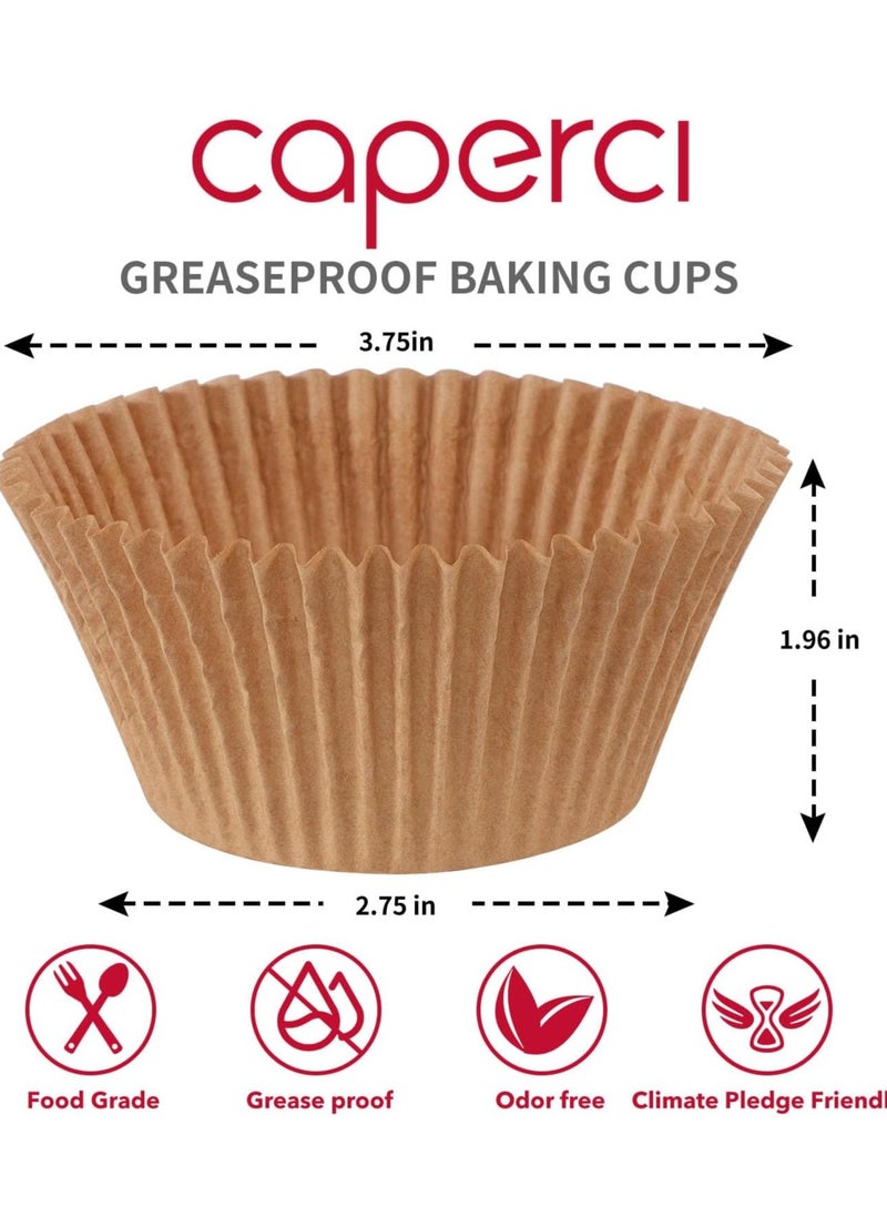 Caperci Jumbo Cupcake Liners Natural Muffin Baking Cups 300-Count, No Smell, Food Grade, Upgraded Grease-Proof Paper (Natural)